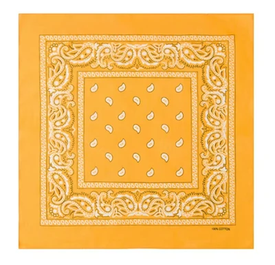 Bandana de algodão paisley